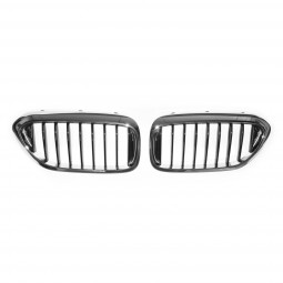 BMW Original Kylargrill / Njurar 5-serie G30 / G31 / G38