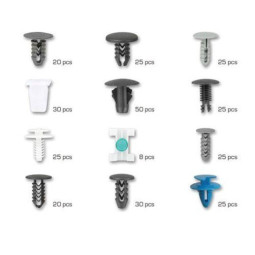 Clips Sortiment till Fiat (308-delar)